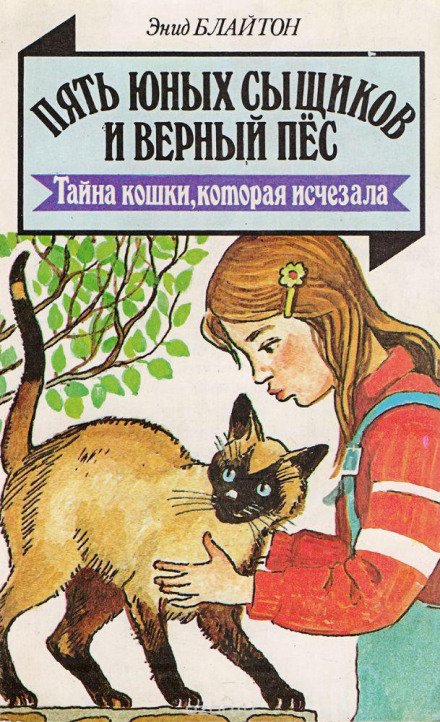 Тайна пропавшей кошки - Энид Мэри Блайтон