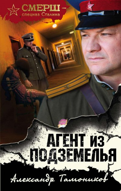 Агент из подземелья - Александр Тамоников