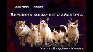 Аудиокнига Вершина кошачьего айсберга