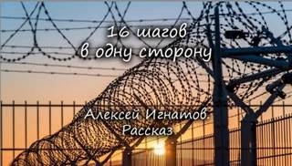 16 шагов в одну сторону - Алексей Игнатов