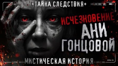 Исчезновение Ани Гонцовой - Игорь Шанин