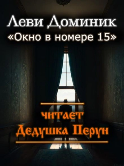 Аудиокнига Окно в номере 15