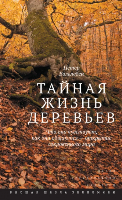 Тайная жизнь деревьев. Что они чувствуют, как они общаются – открытие сокровенного мира - Вольлебен Петер