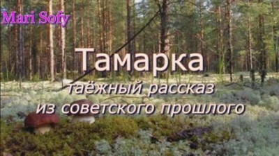 Тамарка - Юрий Насыбуллин