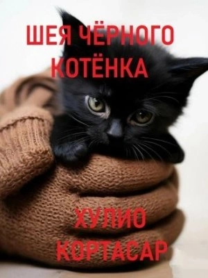 Аудиокнига Шея чёрного котёнка