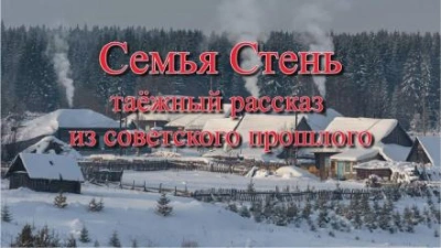 Аудиокнига Семья Стень