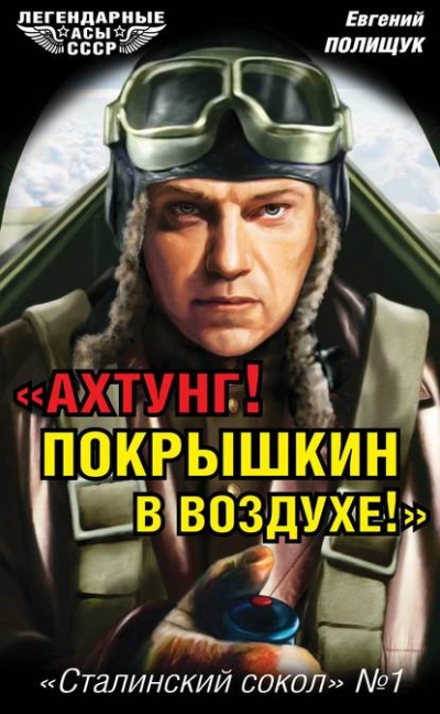 Аудиокнига «Ахтунг! Покрышкин в воздухе!». «Сталинский сокол» № 1