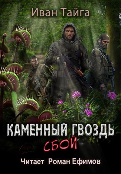 Каменный гвоздь. Сбой - Иван Тайга